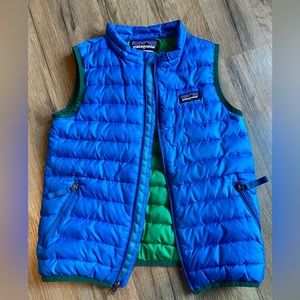 Patagonia down sweater vest